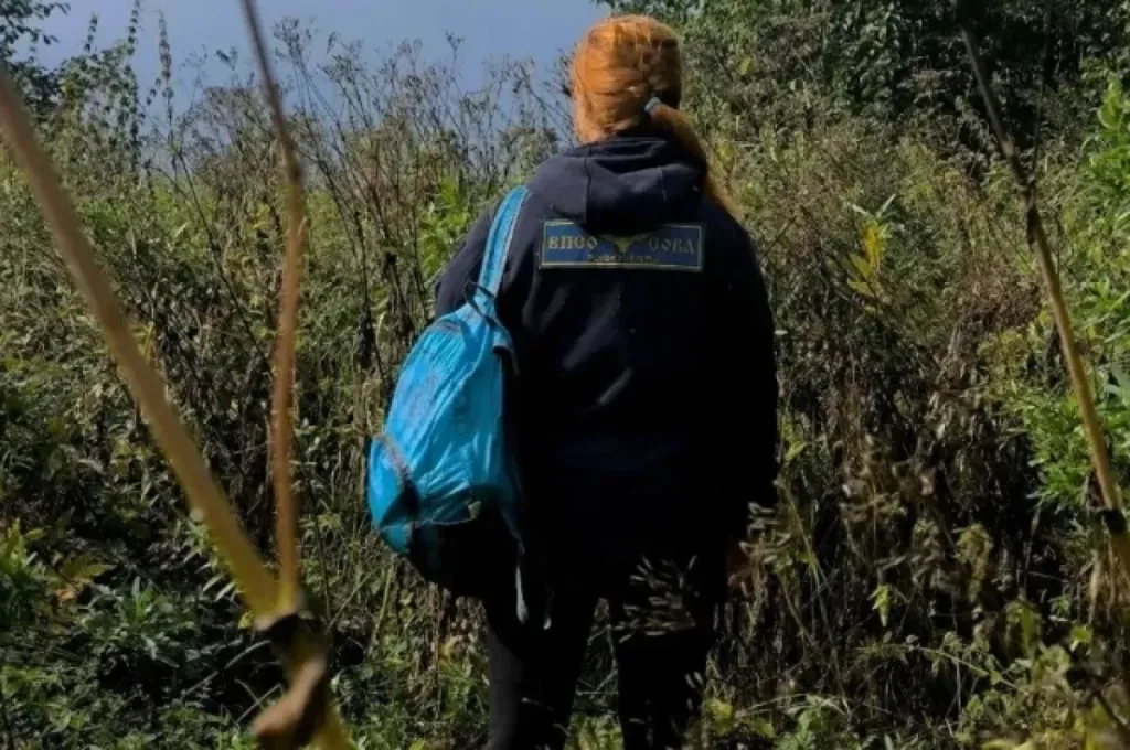 Подо Ржевом 24 октября снова масштабно ищут пропавшего Вову
