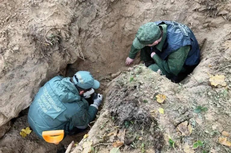 В Тверской области подняли останки 19 жертв нацистов из психбольницы